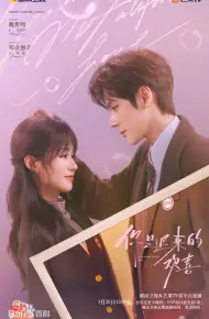 你是迟来的欢喜（2026）
