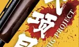 大项目