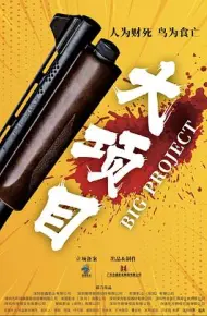 大项目