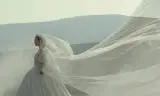 呼啸山庄