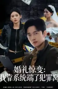 婚礼惊变：我靠系统端了犯罪窝