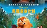 河狸变身计划 （葡萄牙语）