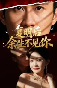 复明后余生不见你