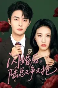 闪婚后，陆总又争又抢