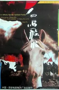 白马飞飞