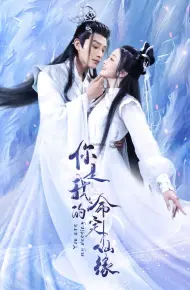 你是我的命定仙缘