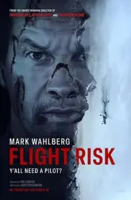 危险飞行