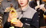 寻宝黄金瞳，从挖掘机开始