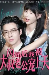 闪婚后，我被大叔老公宠上天