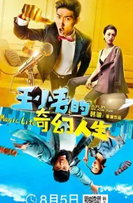 王小毛的奇幻人生