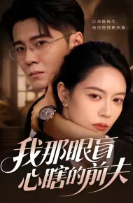 我那眼盲心瞎的前夫