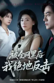 被全网黑后我绝地反击