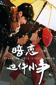 暗恋这件小事