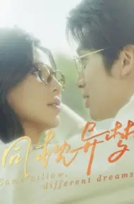 同枕异梦
