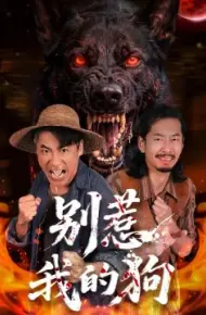 别惹我的狗