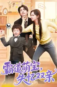 霸道萌宝失忆双亲