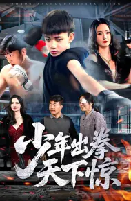 少年出拳天下惊