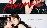 动物 ANIMALS