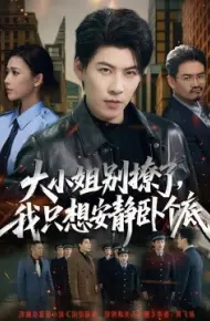 大小姐别撩了,我只想安静卧个底