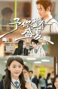予你整个盛夏