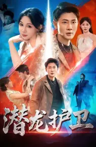 潜龙护卫