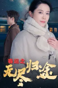 春运之无尽归途