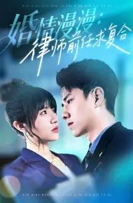 婚情漫漫：律师前任求复合