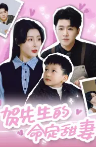 贺先生的命定甜妻