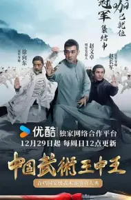 中国武术王中王
