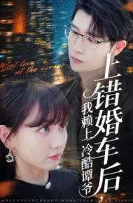 上错婚车后,我赖上冷酷谭爷
