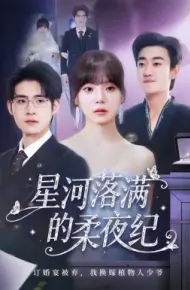 星河落满的柔夜纪