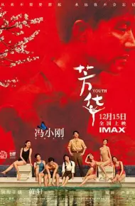 芳华