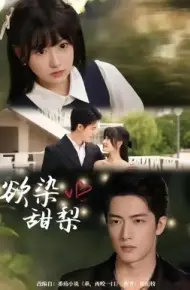 欲染甜梨