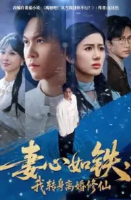 妻心如铁，我转身离婚修仙