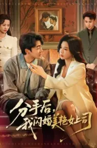 分手后，我闪婚美艳女上司