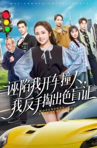 诬陷我开车撞人，我反手掏出色盲
