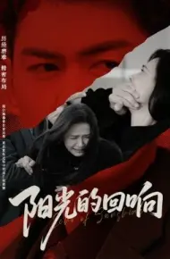 阳光的回响