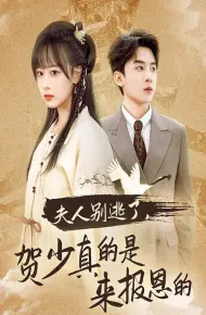 夫人别逃了贺少真的是来报恩的