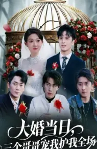 大婚当日，三个哥哥宠我护我全场