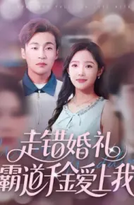 走错婚礼霸道千金爱上我
