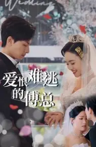 爱恨难逃的傅总