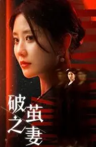 破茧之妻(婚姻的救赎)