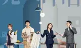 完美伴侣