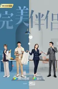 完美伴侣