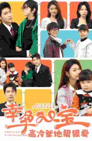 幸孕双宝高冷爹地狠狠爱