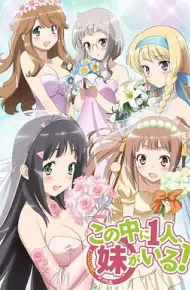 三人行必有我妹