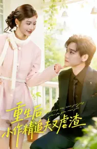 重生后，小撩精追夫又虐渣