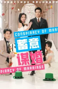 蓄意谋婚