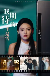 我期待的不是雪