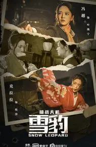 雪豹之暗战天机